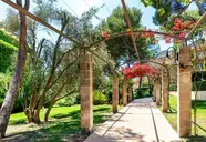 Viva Cala Mesquida Suites & SPA