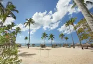 Viva Dominicus Beach by Wyndham