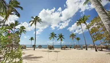 Viva Dominicus Beach by Wyndham