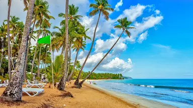 Viva Wyndham V Samana