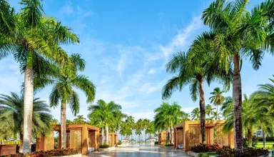 Viva Wyndham V Samana