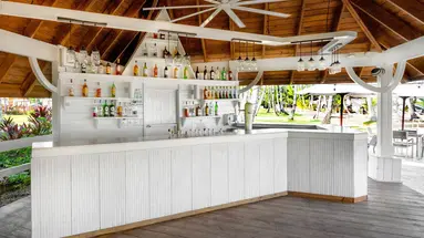 Viva Wyndham V Samana