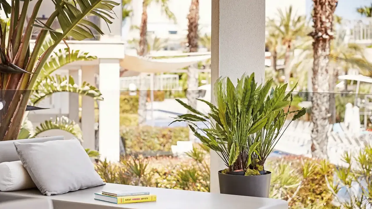 Viva Zafiro Alcudia & Spa