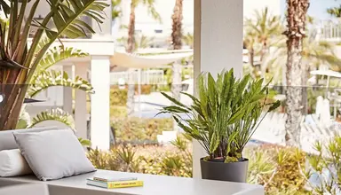 Viva Zafiro Alcudia & Spa