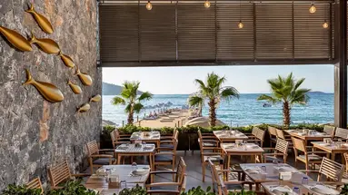 Vogue Supreme Bodrum