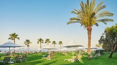 Voyage Sorgun