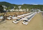 Voyage Torba