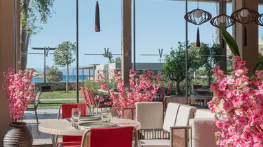 Voyage Torba