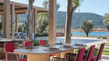Voyage Torba