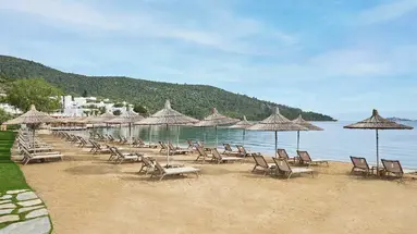 Voyage Torba