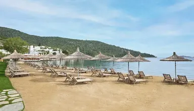Voyage Torba