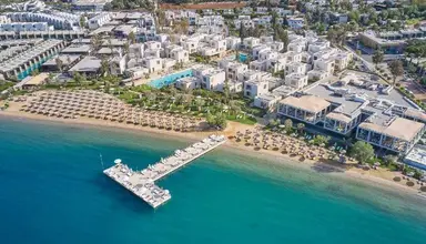 Voyage Torba