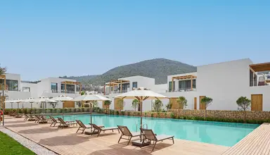 Voyage Torba