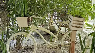 VR Club Tulum Riviera