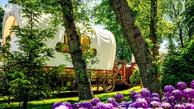 Western Camp Resort