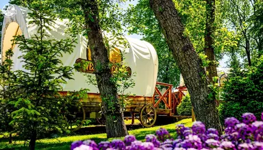 Western Camp Resort