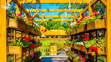 Western Camp Resort