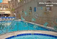 White Dolphin Complex