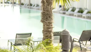 White Dreams Resort