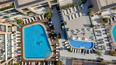 White Olive Elite