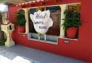 White Rose