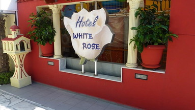 White Rose
