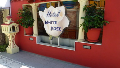 White Rose