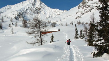 Wiesenhof (Sand in Taufers)