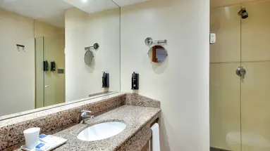 Windsor Plaza (Rio de Janeiro)