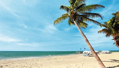 Windsurf Paradise