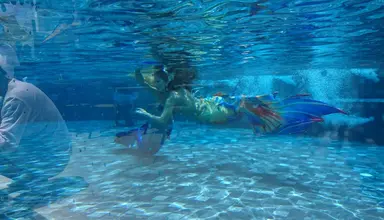 Worita Cove