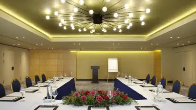 Wyndham Grand Athens (ex Classical Athen Imperial)