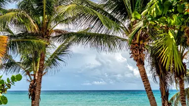 Xela Tulum
