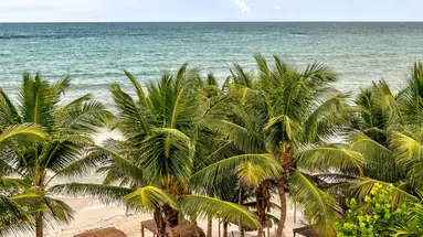 Xela Tulum