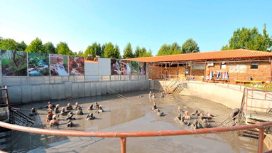 Yannis Resort