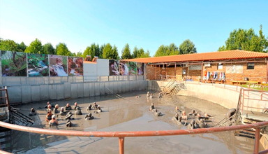 Yannis Resort