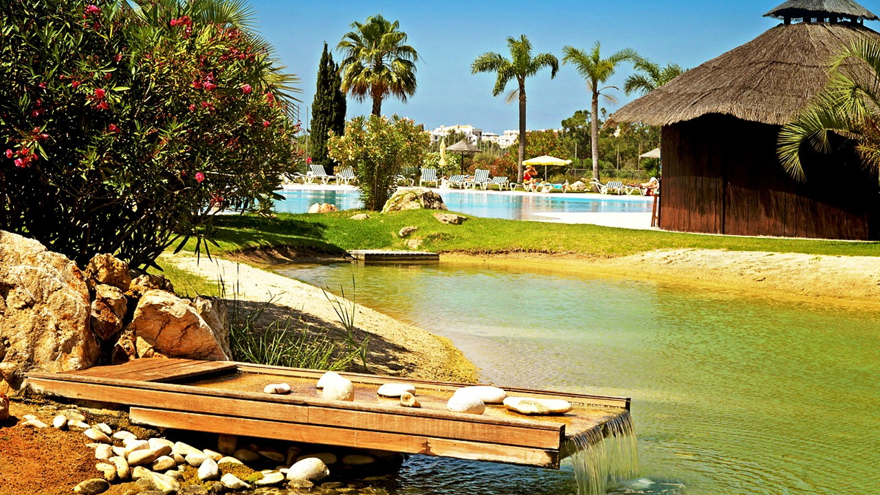 Yellow Alvor