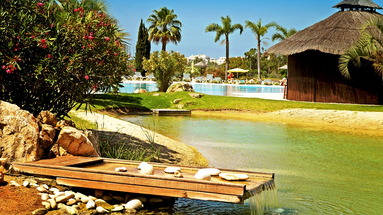 Yellow Alvor