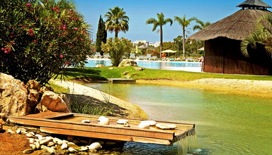 Yellow Alvor