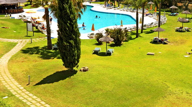 Yellow Alvor