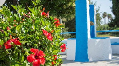 Yiannis Yard