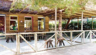 Zafiro Tropic