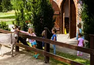 Zalesie Mazury Active Spa