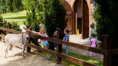 Zalesie Mazury Active Spa