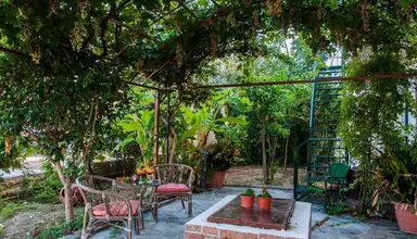 Zante Nest Studios & Apartments (ex. Cuckoo's Nest)