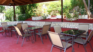 Zante Yliessa