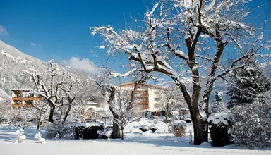 Zapfenhof