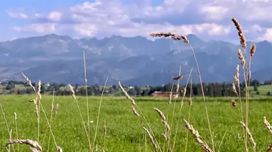 Zapotoczny Residence