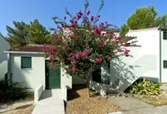 Zaton Holiday Resort 3*