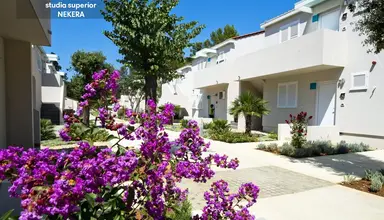 Zaton Holiday Resort Apartments